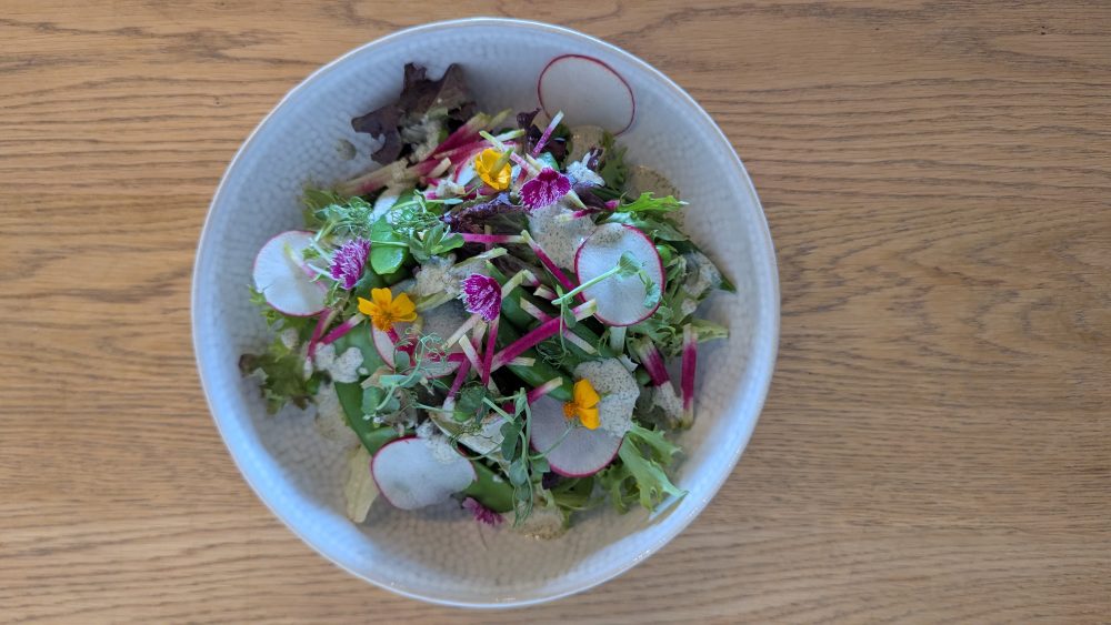Spring Pea and Radish Salad (V, GF) Heritage Mix Greens I Cherry Belle + Watermelon Radish I Sugar Snap Peas I Snow Peas I Buttermilk Ranch Dressing