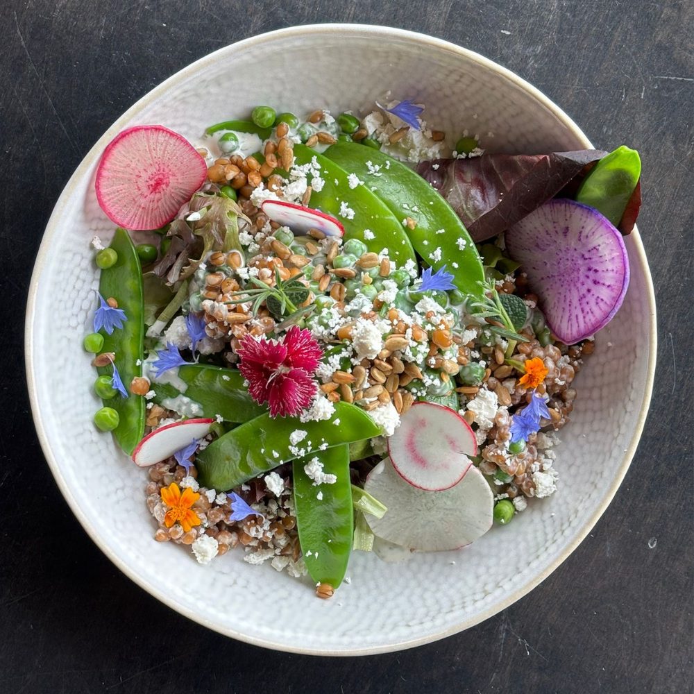 Spring Pea & Wheatberry Salad with Heart City Farms Greens, Snow Peas & Green Peas, Buttermilk Ranch Dressing, Radishes, Feta Cheese & Sunflower Seeds (V)